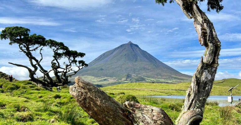 Pico, Azores: Highlights Tour With Wine Tasting And Picnic Tour Overview