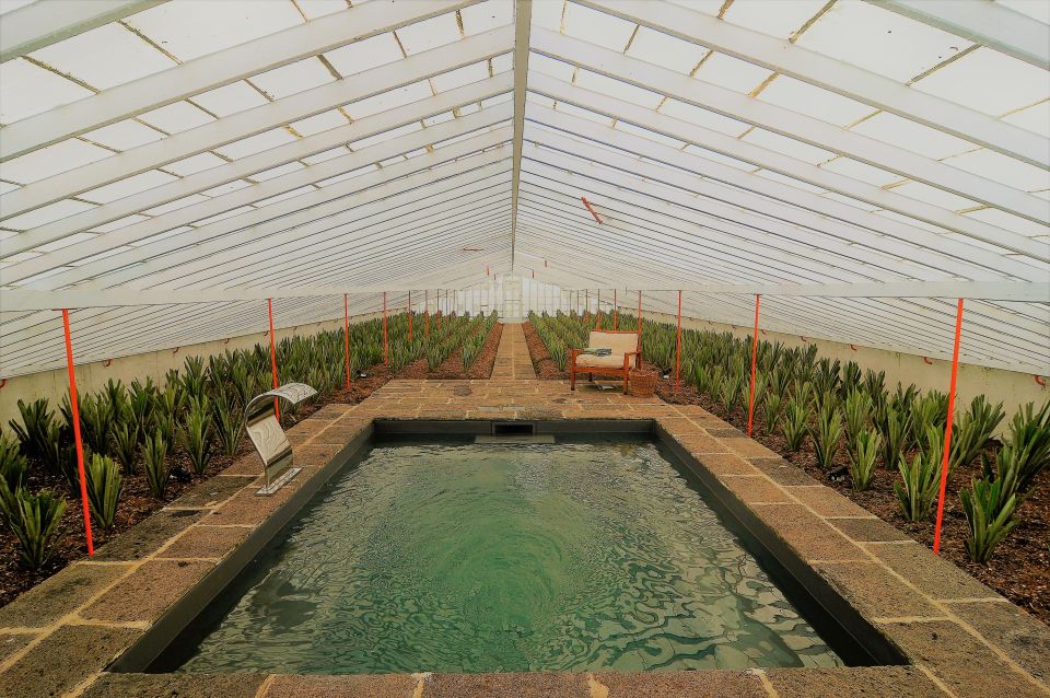 Pineapple Greenhouse Hot Tube and Pineapple Tour - Activity Overview