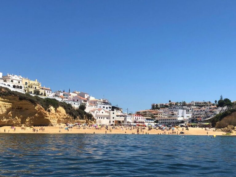 Portimão: Dolphin Watching On The Algarve Coast Experience Highlights