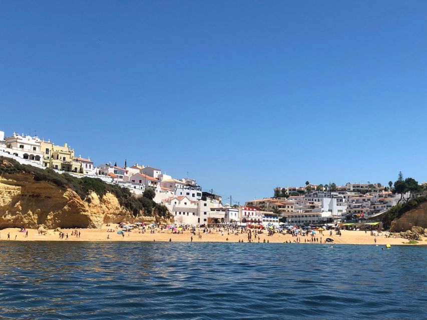 Portimão: Dolphin Watching on the Algarve Coast - Experience Highlights