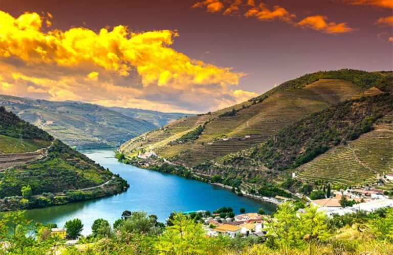 Porto: Douro Valley Private Full Day Tour Activity Details