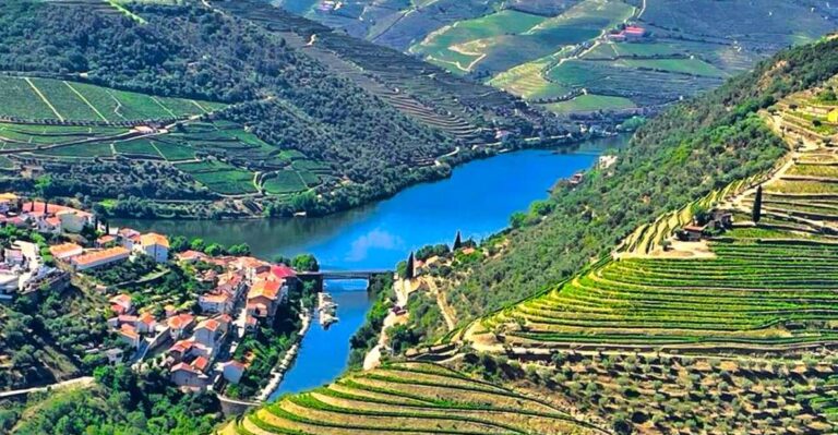 Porto: Douro Valley Private Tour 2 Vineyards & River Cruise Roundtrip Transportation From Porto