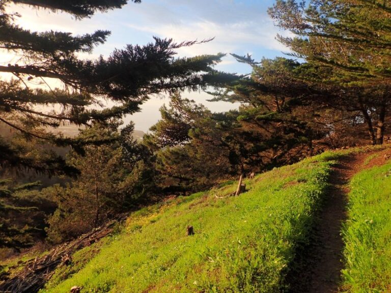 Porto Santo Pico Do Facho Hiking Tour Tour Overview