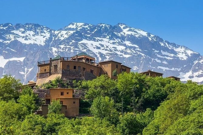 Premium Atlas Mountains Day Trip With Camel Ride Experience