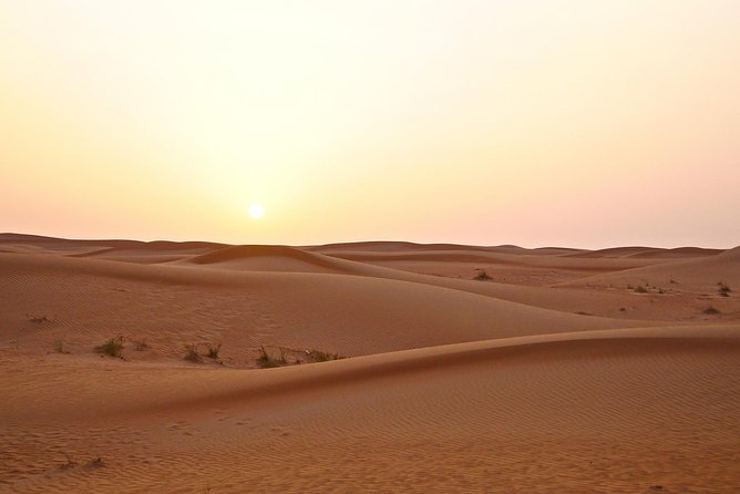 Premium Red Dunes Safari And Camel Safari With Bbq Dinner Tour Details