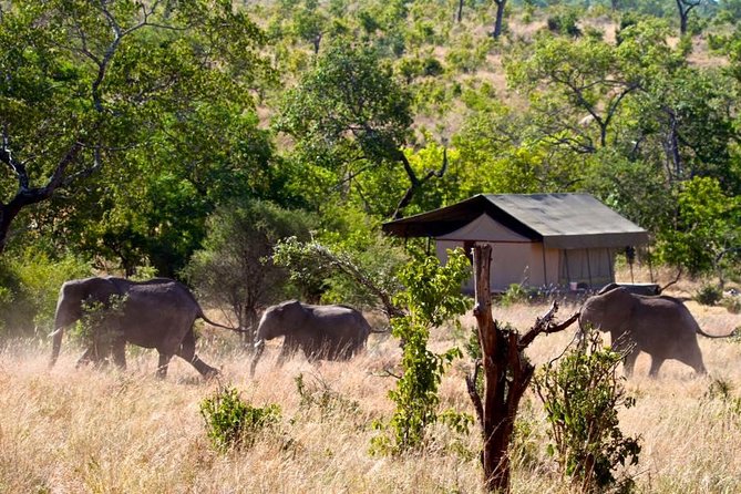 Private 4-Days Northern Circuit National Parks in Tanzania