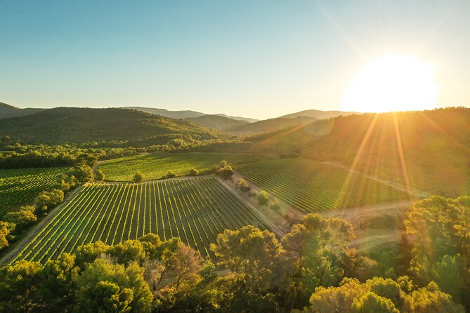 Private 4x4 Ride In A Wine Estate Followed By A Tasting Exploring The Scenic Wine Estate