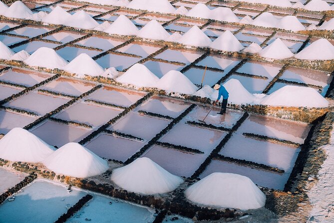 Private And Guided Tour To The Salinas De Janubio With Tasting Highlights Of The Experience