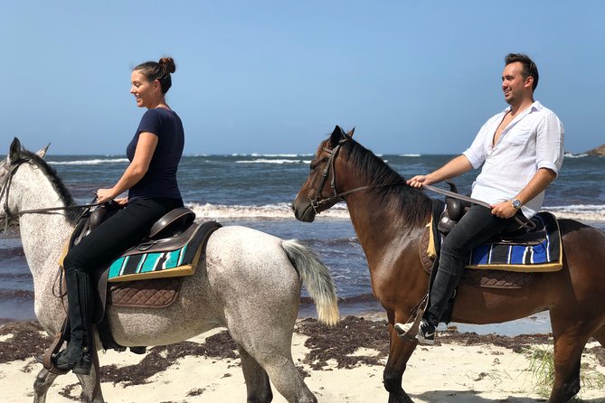 Private Beach Horseback Ride With Sandy Hoofs St. Lucia Booking Details