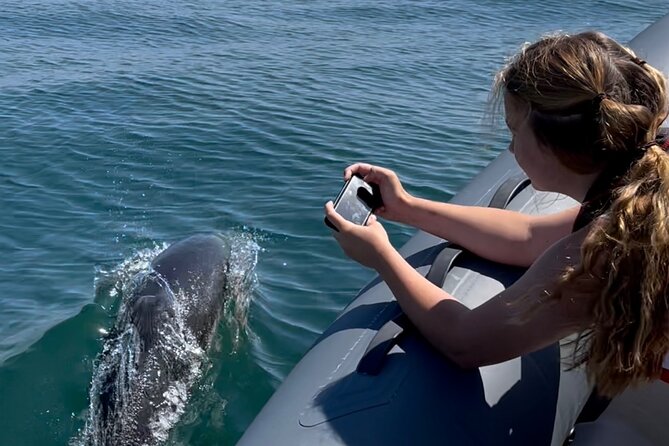 Private Coastal Boat Tour in Torquay - Tour Details