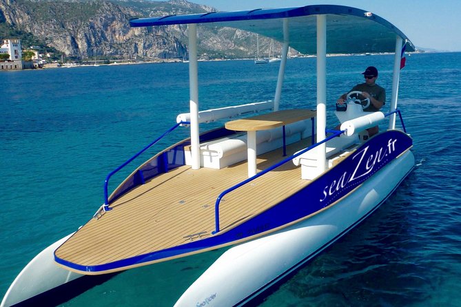 Private Cruise Near Nice and Monaco With Solar Powered Boat - Overview of the Cruise