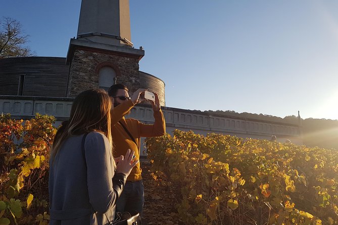 Private Day Tour in Champagne - Inclusions