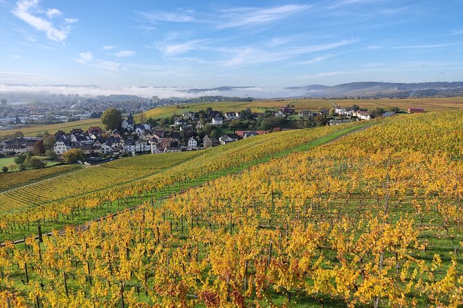 Private Day Trip To The Romantic Rhine Valley With River Cruise And Wine Tasting Overview Of The Tour