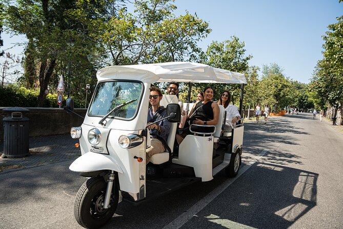 Private Electric Tuktuk Tour of Romes Landmarks