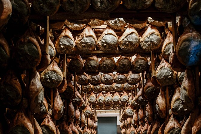 Private Full Day Parma Food Tour: Parmesan Cheese, Parma Ham, Lunch, Vinegar - Tour Description