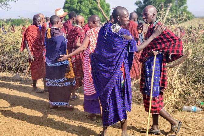 Private Full-Day Tour Maasai Village and Kikuletwa Hot Spring - Tour Overview