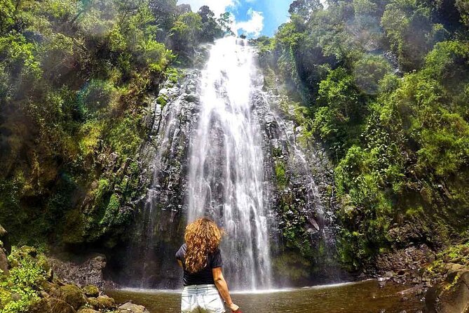 Private Full Day Trip To Materuni Waterfalls Overview Of The Trip