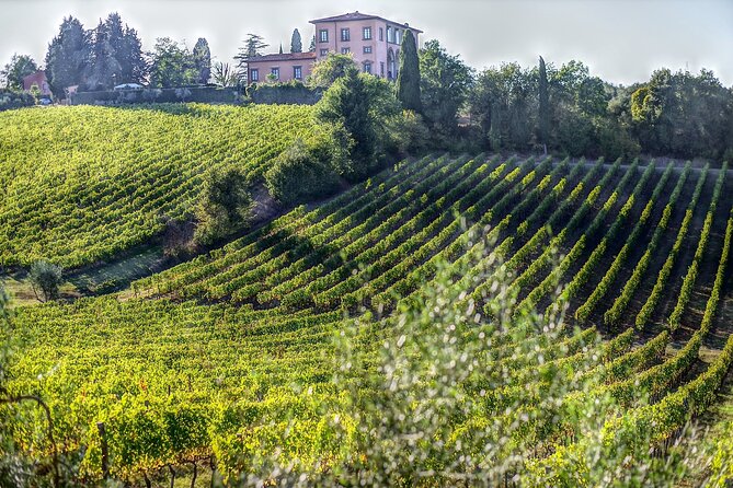 PRIVATE Full-Day Wine Experience in Chianti Classico.