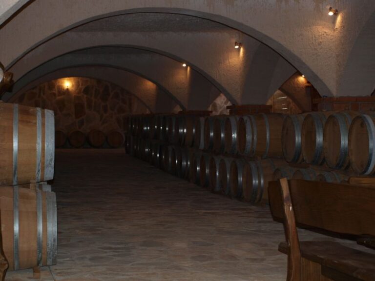 Private Full Day Wine Tour From Dubrovnik To Peljesac Tour Overview