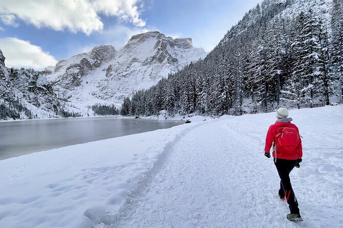 Private Guided Tour In The Dolomites From Venice Tour Details