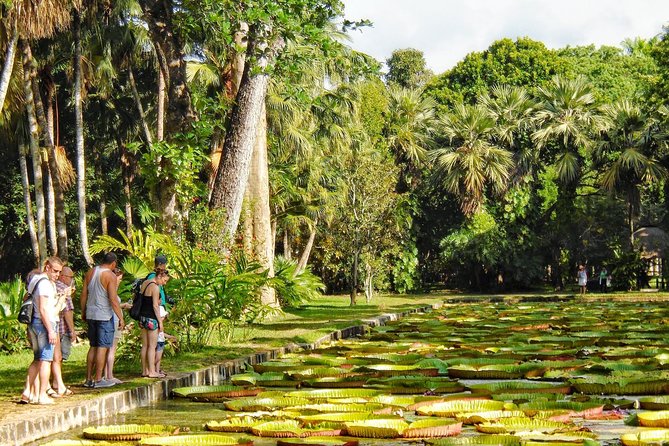 Private North Day Tour: Botanical Garden, Sugar Museum, Rum Tasting, Port Louis Mauritius Capital City: Port Louis