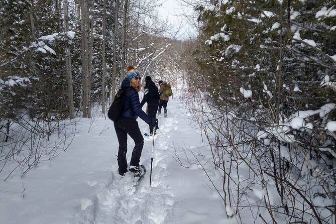 Private Nottawasaga Bluffs Caves Snowshoe Tour,Collingwd/Creemore - Meeting and Pickup Details