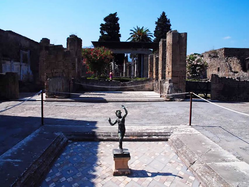 Private Pompeii Tour and Archeological Museum of Naples - Tour Overview