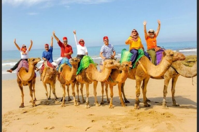 Private Tangier Tour From Malaga Including Camel & Lunch Tour Details