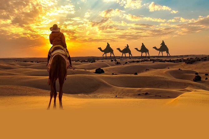 Private Tour At Desert Safari With Camel Ride & Bbq Dinner Tour Overview