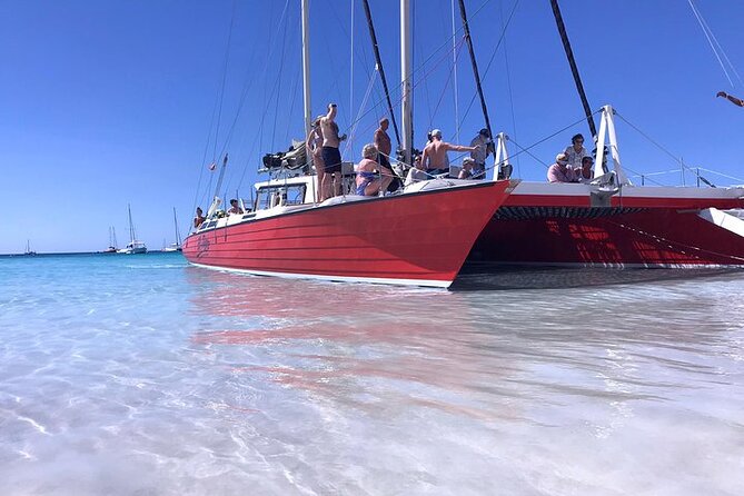 Private Tour: Barbados Catamaran Snorkeling Cruise Snorkeling With Sea Turtles