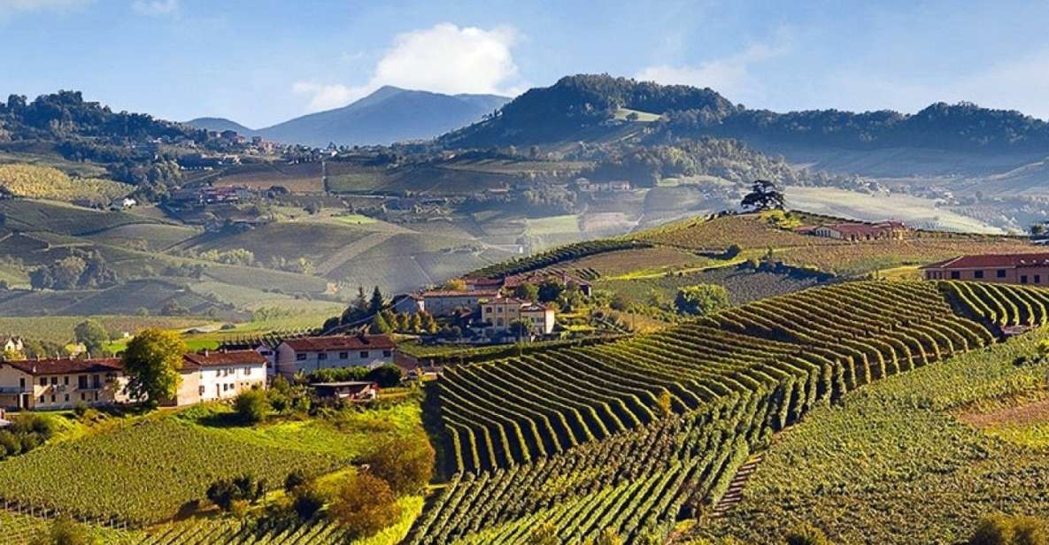 Private Tour: Barolo Wine Tasting in Langhe Area From Torino - Tour Overview