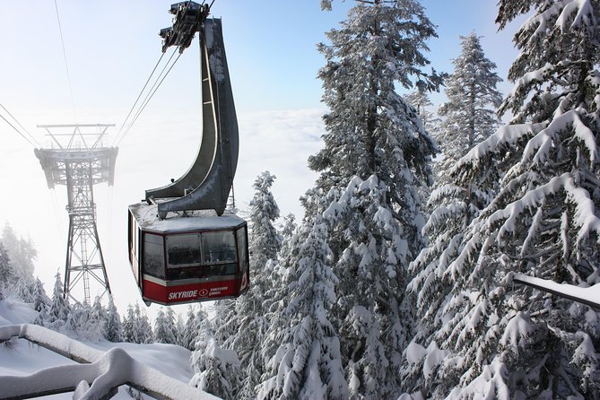 Private Tour: Capilano Suspension Bridge And Grouse Mountain Overview Of The Tour