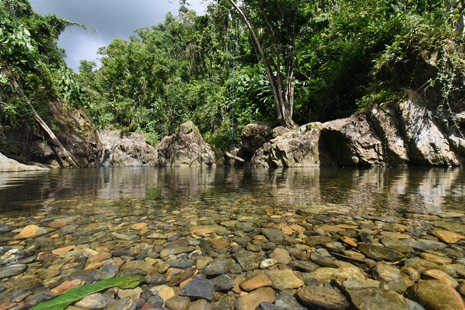 Private Tour Of El Yunque Rainforest From San Juan Tour Overview And Details