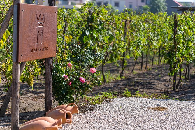 Private Tour of Pompeii Ruins, Organic Wine Tasting and Lunch