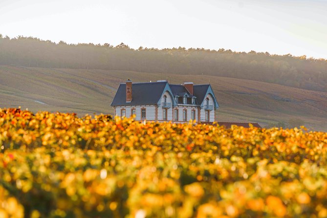 Private Tour Of The Champagne Area, Meet Local Producers And Taste Their Champagne, Start From Your Hotel In Paris. Tour Overview And Inclusions