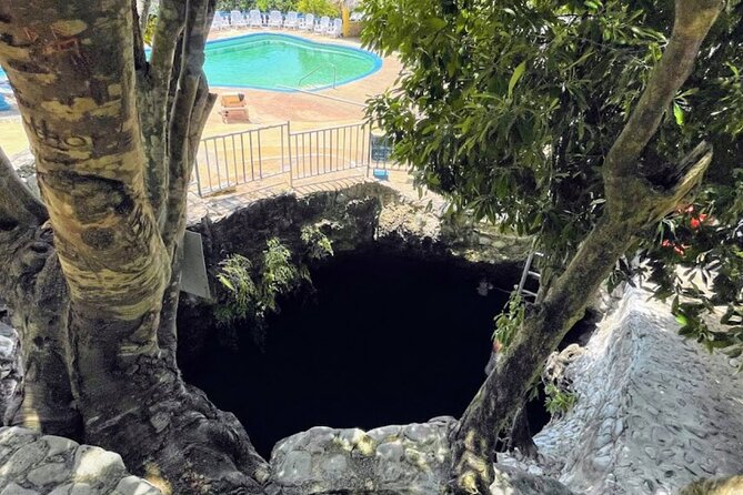 Private Trip To Blue Hole Mineral Springs, Negril & Ricks Café Inclusions