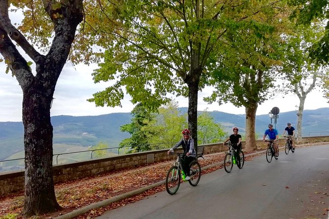 Private Tuscany Cycling Tour From Florence Tour Overview