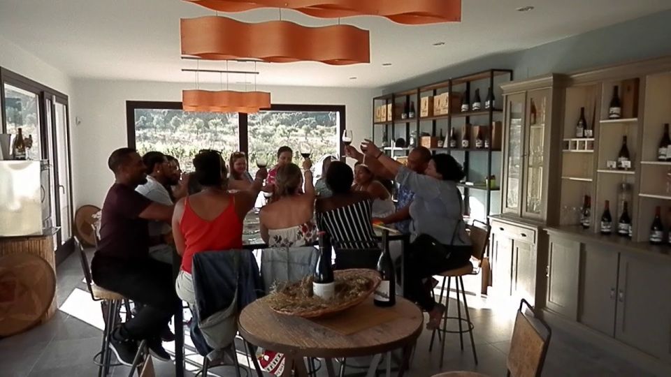 Private Winery Tour and Visit to Ronda - Overview of the Winery Tour