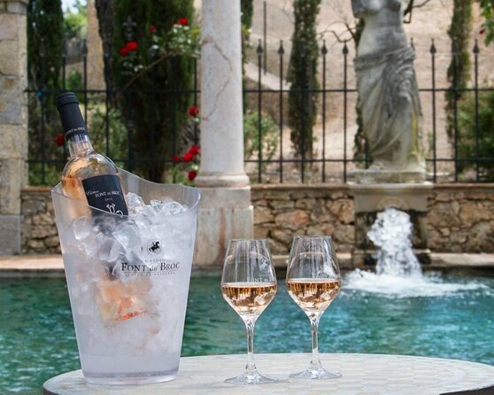 Provence Wine Tour Small Group Tour From Nice Inclusions Offered