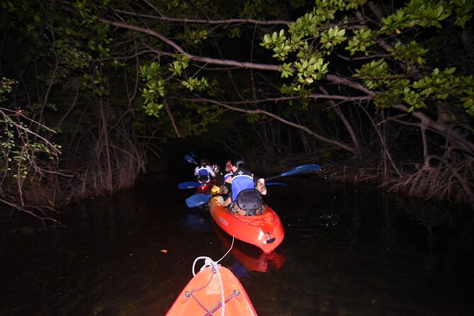 Puerto Rico Sunset Magic: Bio Bay Kayaking Tour From Fajardo