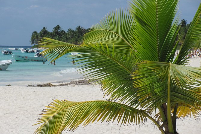 Quetzal Catamaran Cruise Prestige to Saona Island - Highlights of the Experience