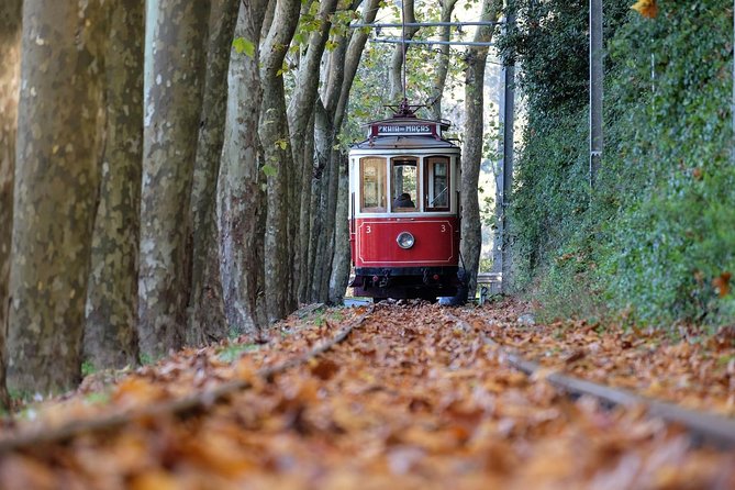 Quinta Da Regaleira and Wine Tasting in Sintra * All Inclusive - Inclusions in the Package