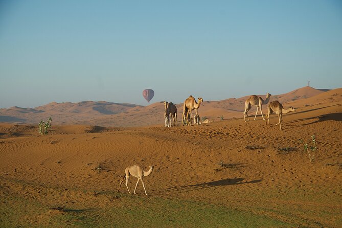 Rak Hot Air Balloon Flight Overview Of The Experience