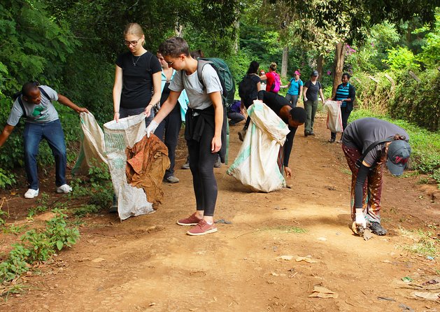 Rau Forest Nature Walk (One Trip - One Tree) - Overview of the Experience