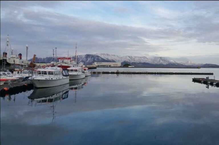 Reykjavik: Self Guided Audio Walking Tour Activity Overview