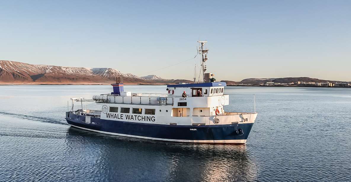 Reykjavik: Whale Watching and Marine Life Cruise - Overview of the Whale Watching Cruise