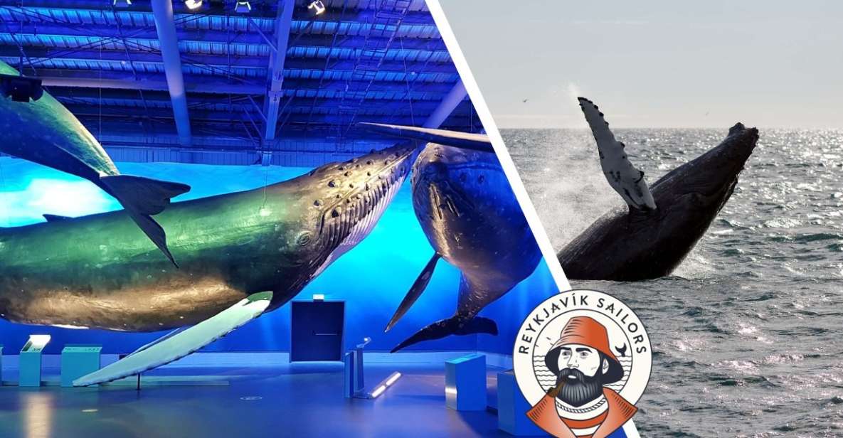 Reykjavik: Whale Watching Excursion & Whale Exhibition - Overview of the Experience