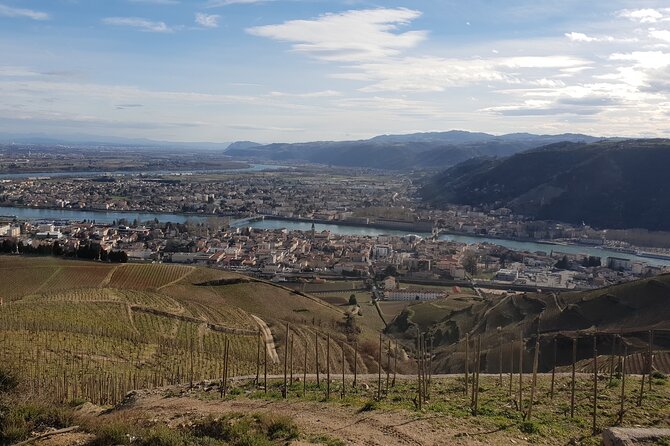 Rhône Valley Wine Tasting Private Day Tour From Lyon - Tour Highlights