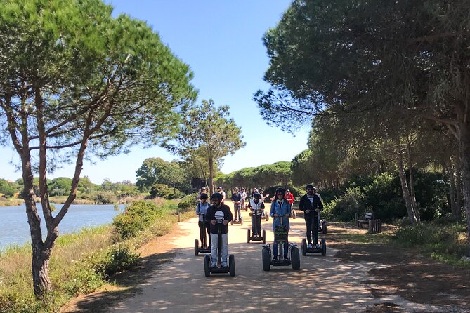 Ria Formosa Natural Park Birdwatching Segway Tour From Faro - Tour Overview