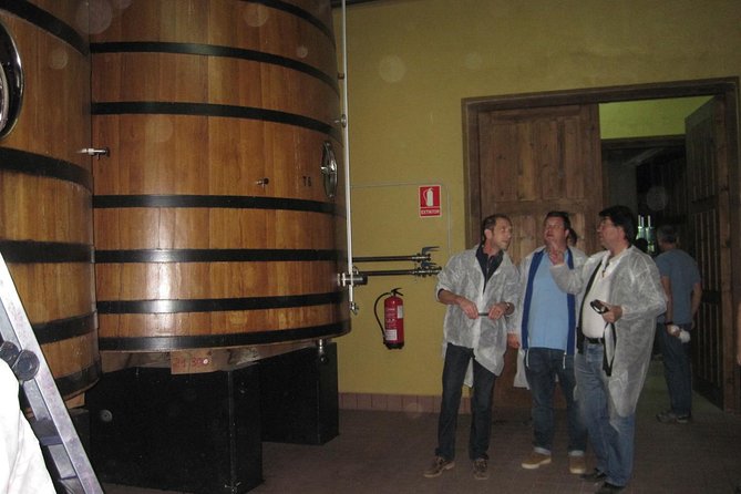 Ribera Del Duero Winery Guided Tour And Wine Tasting From Madrid Overview Of The Ribera Del Duero Region